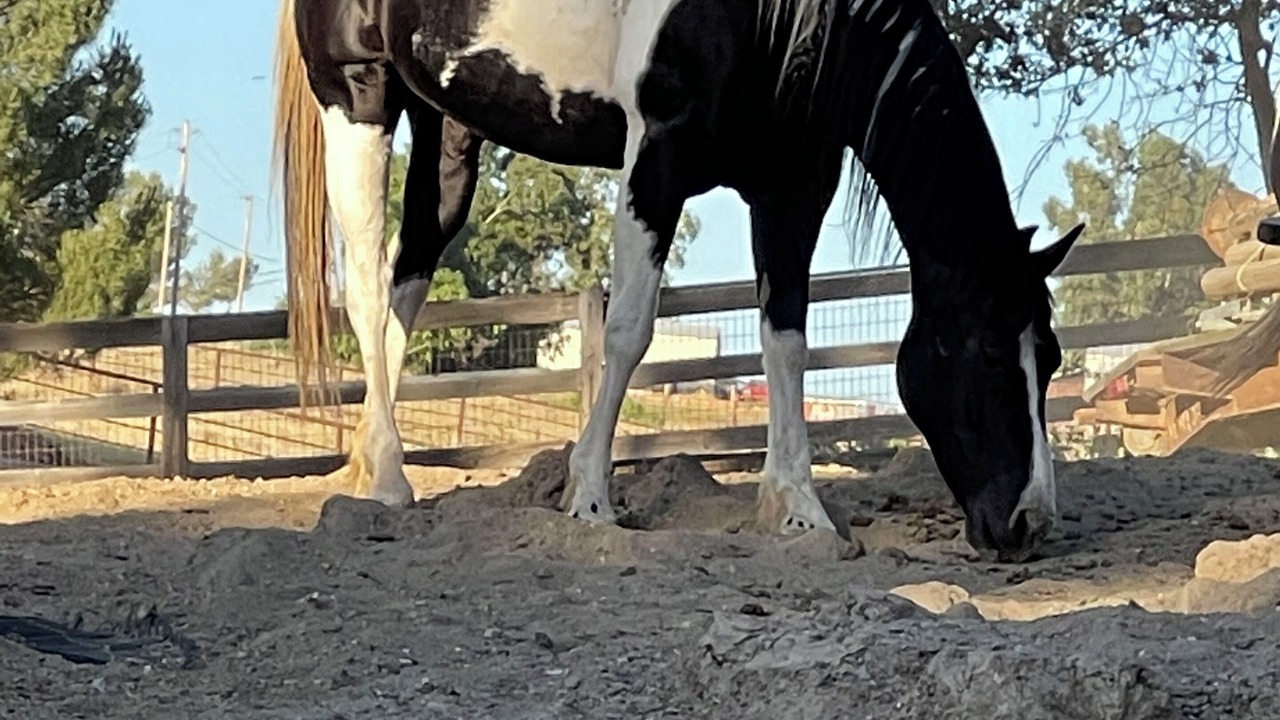 Photo of Others in Paso Robles