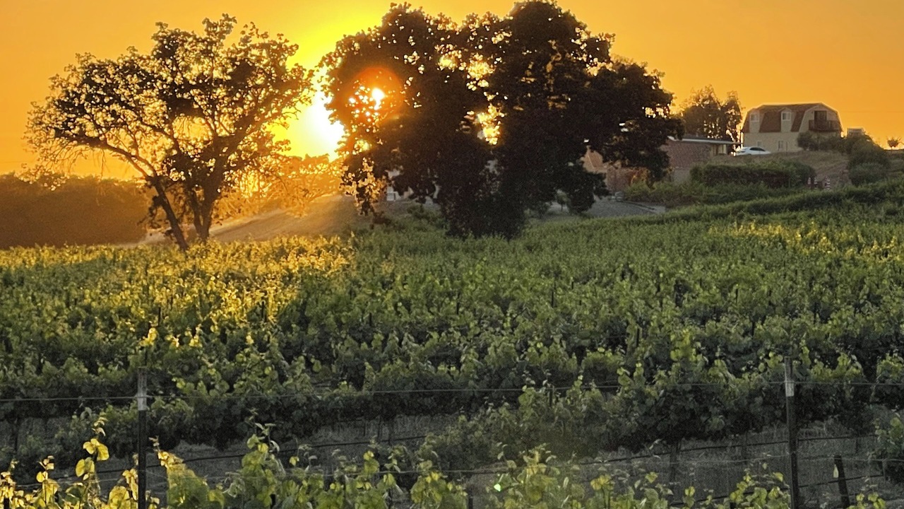 Photo of Outdoor in Paso Robles