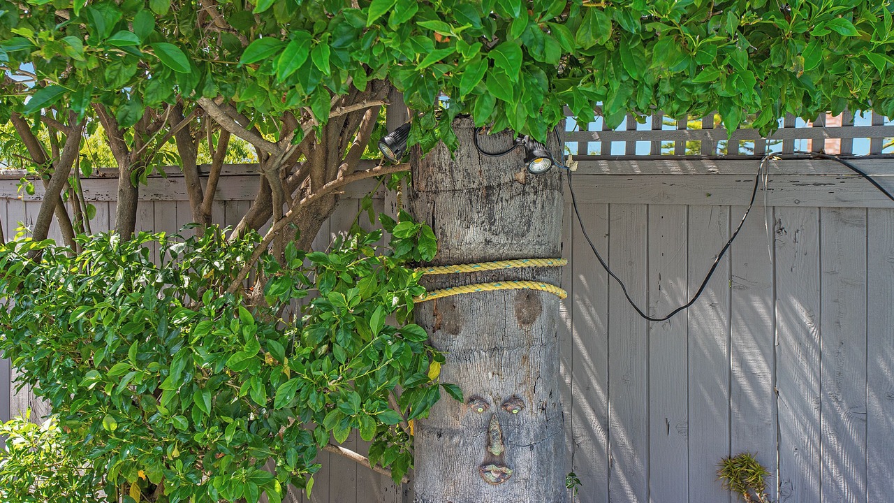 Photo of Outdoor in Aliso Viejo