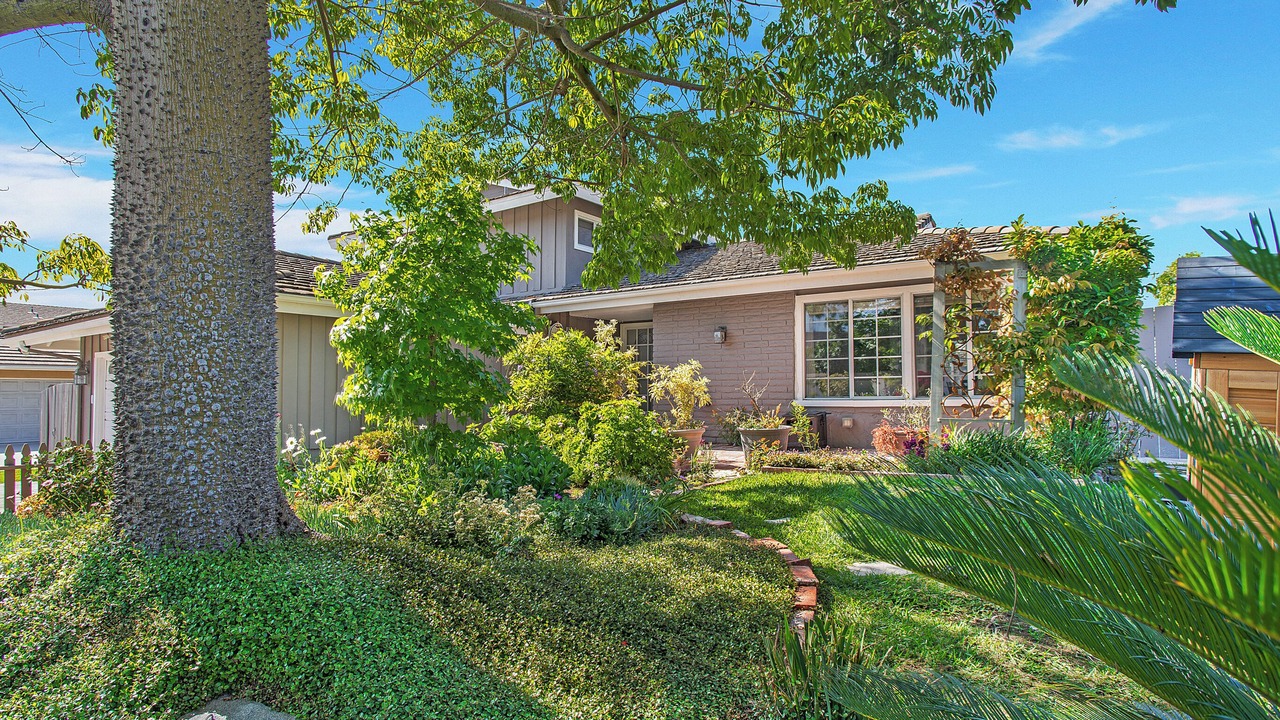 Photo of Outdoor in Aliso Viejo