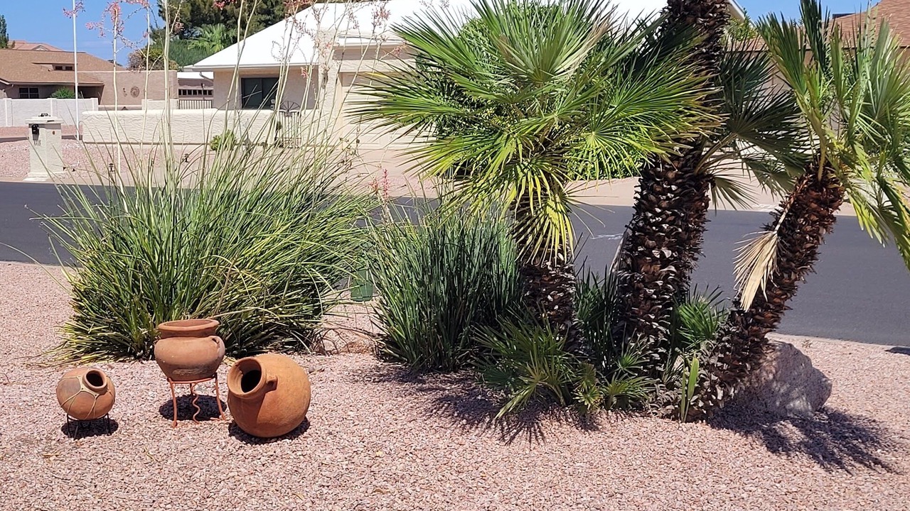 Photo of Others in Sun Lakes