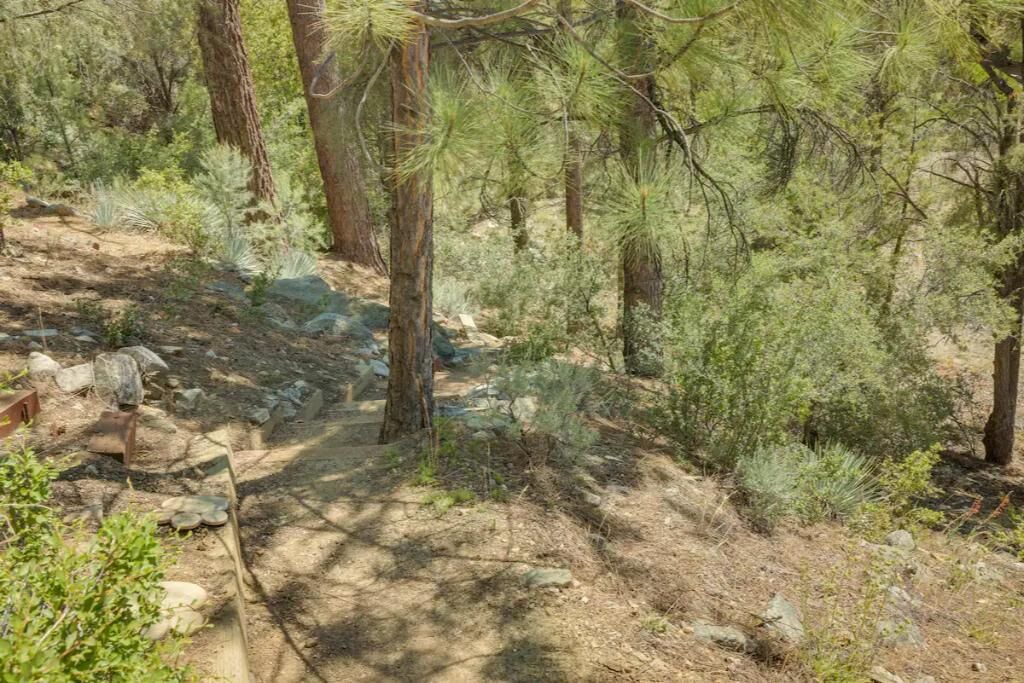 Photo of Outdoor in Pine Mountain Club