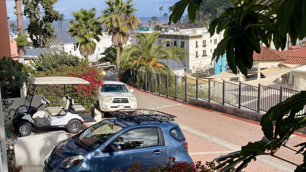 Photo of Others in Avalon