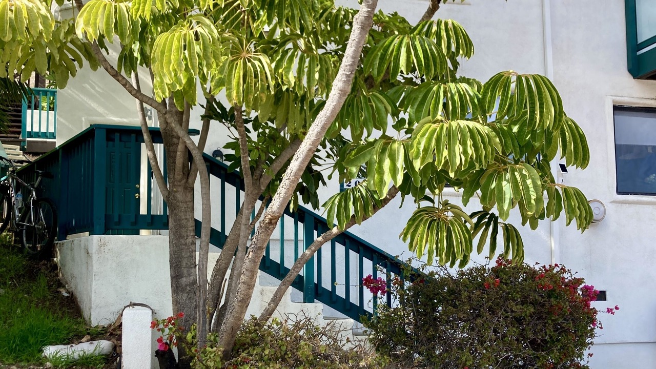 Photo of Others in Avalon