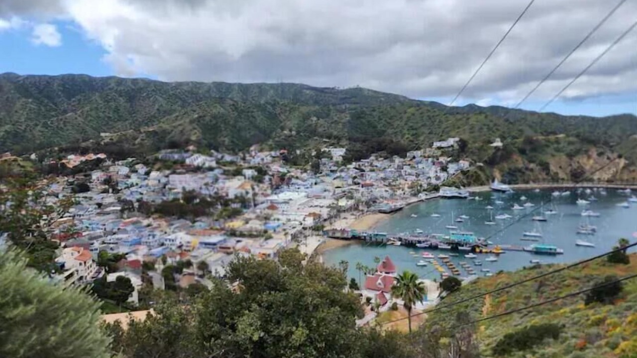 Photo of Others in Avalon