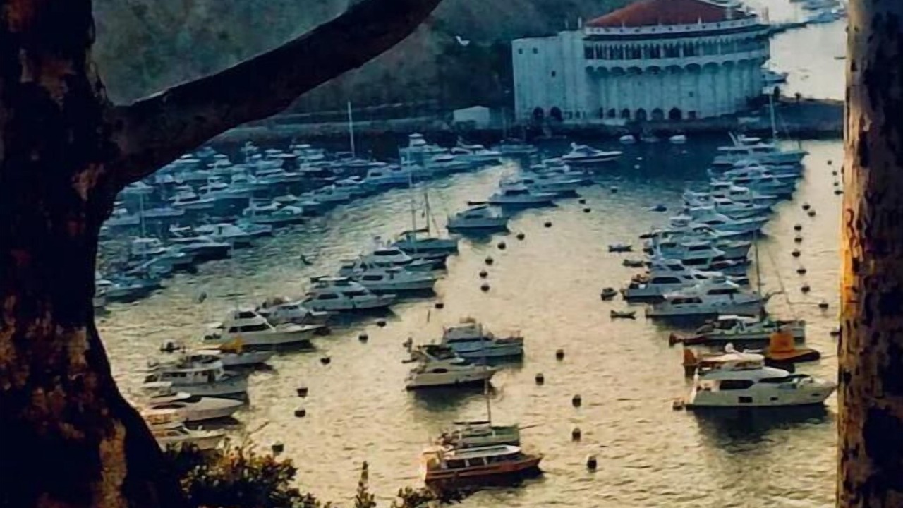 Photo of Others in Avalon