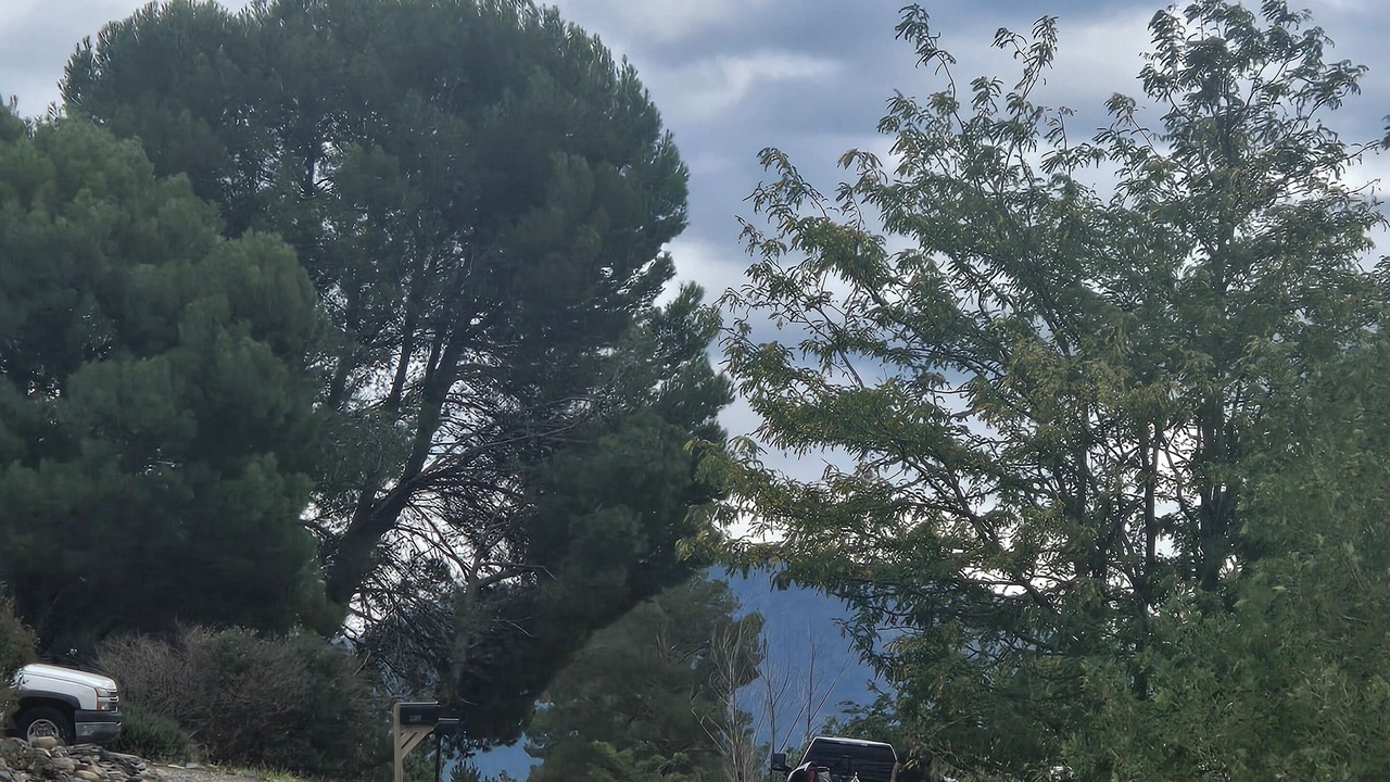 Photo of Others in Prescott Valley Units