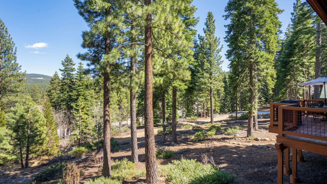 Photo of Outdoor in Truckee