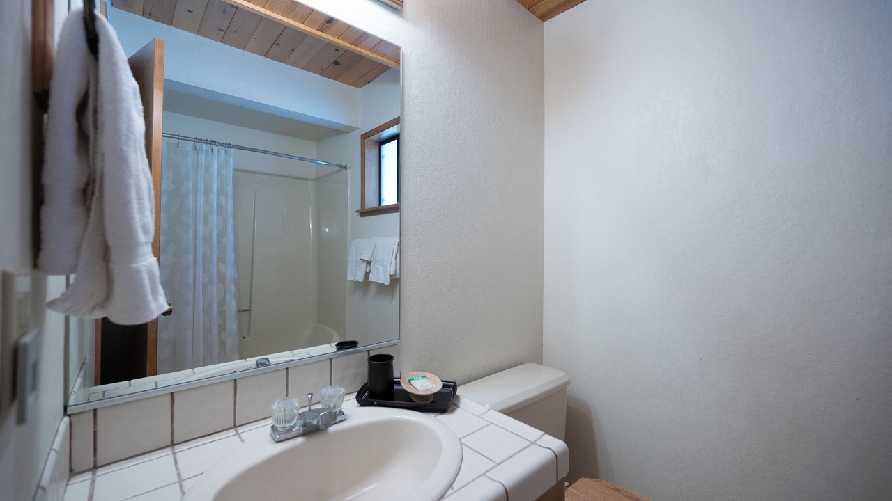 Photo of Bathroom in Truckee