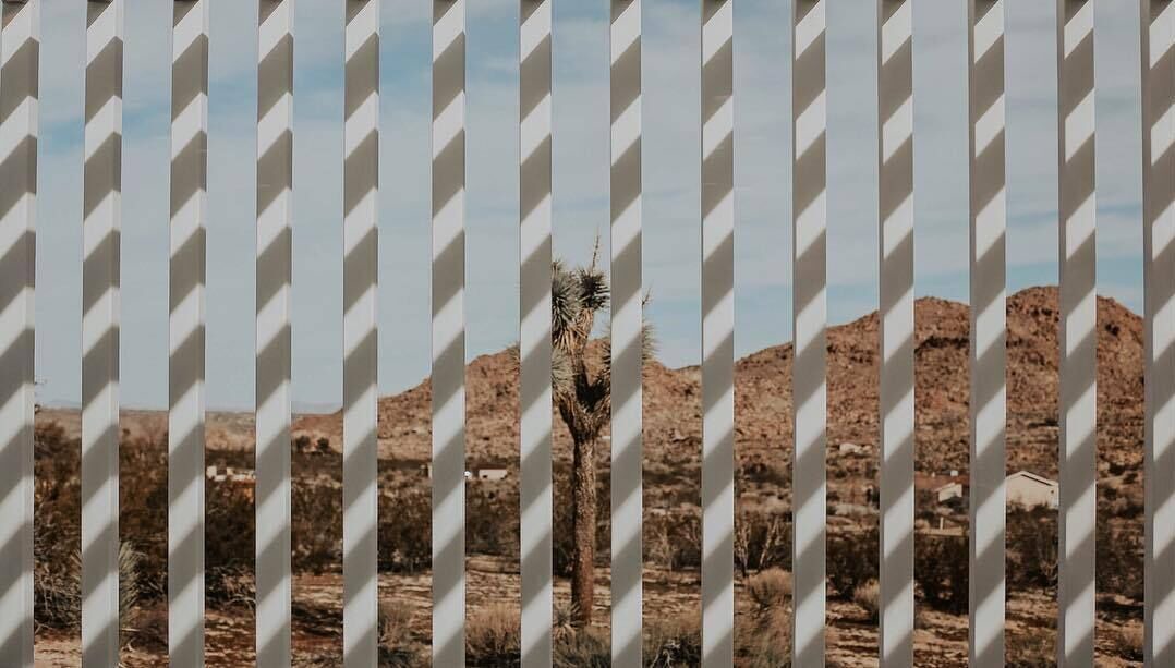 Photo of Others in Joshua Tree Highlands