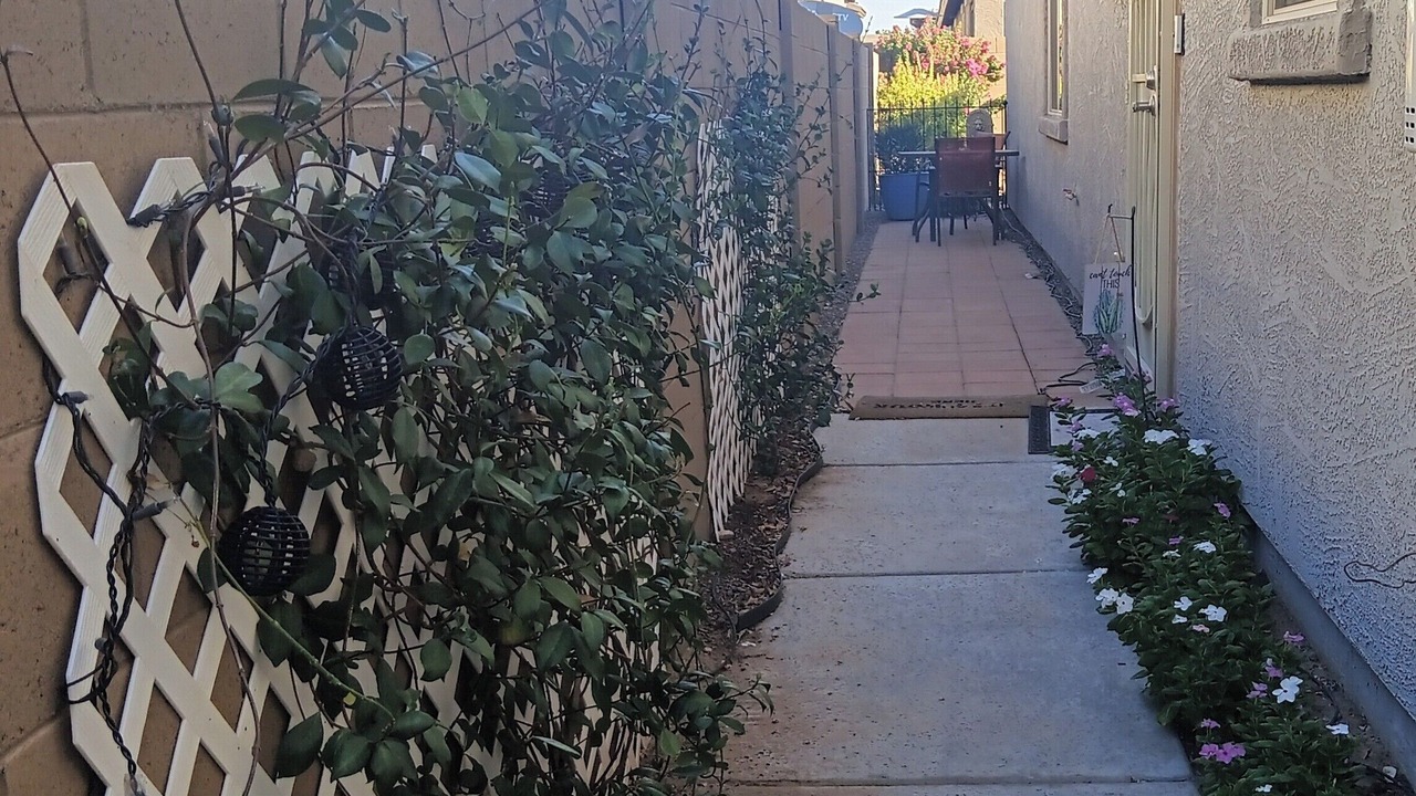 Photo of Outdoor in San Tan Valley