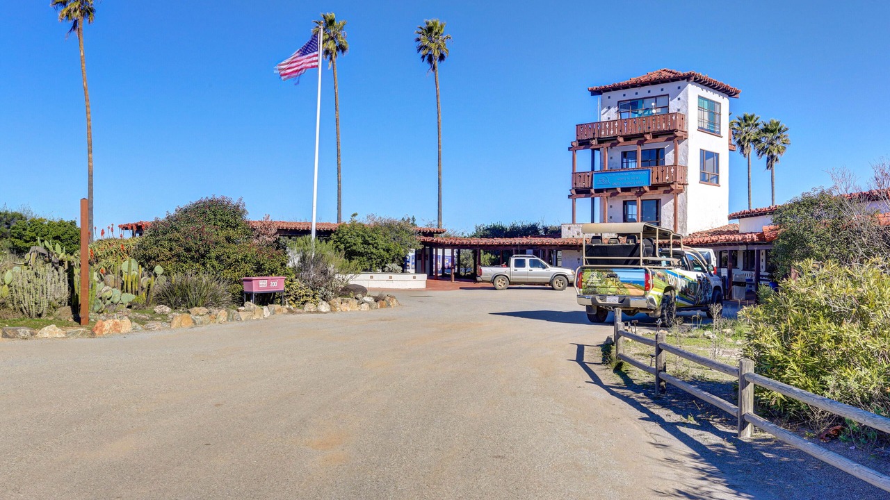 Photo of Others in Avalon
