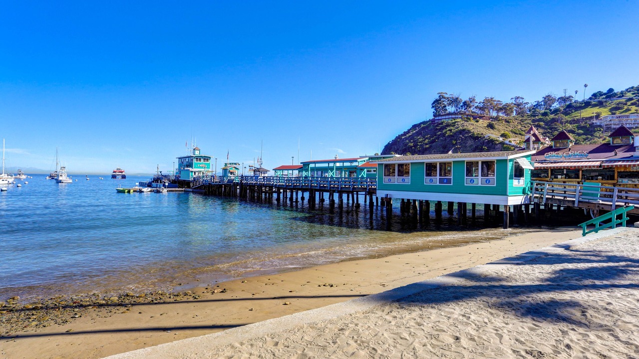 Photo of Others in Avalon