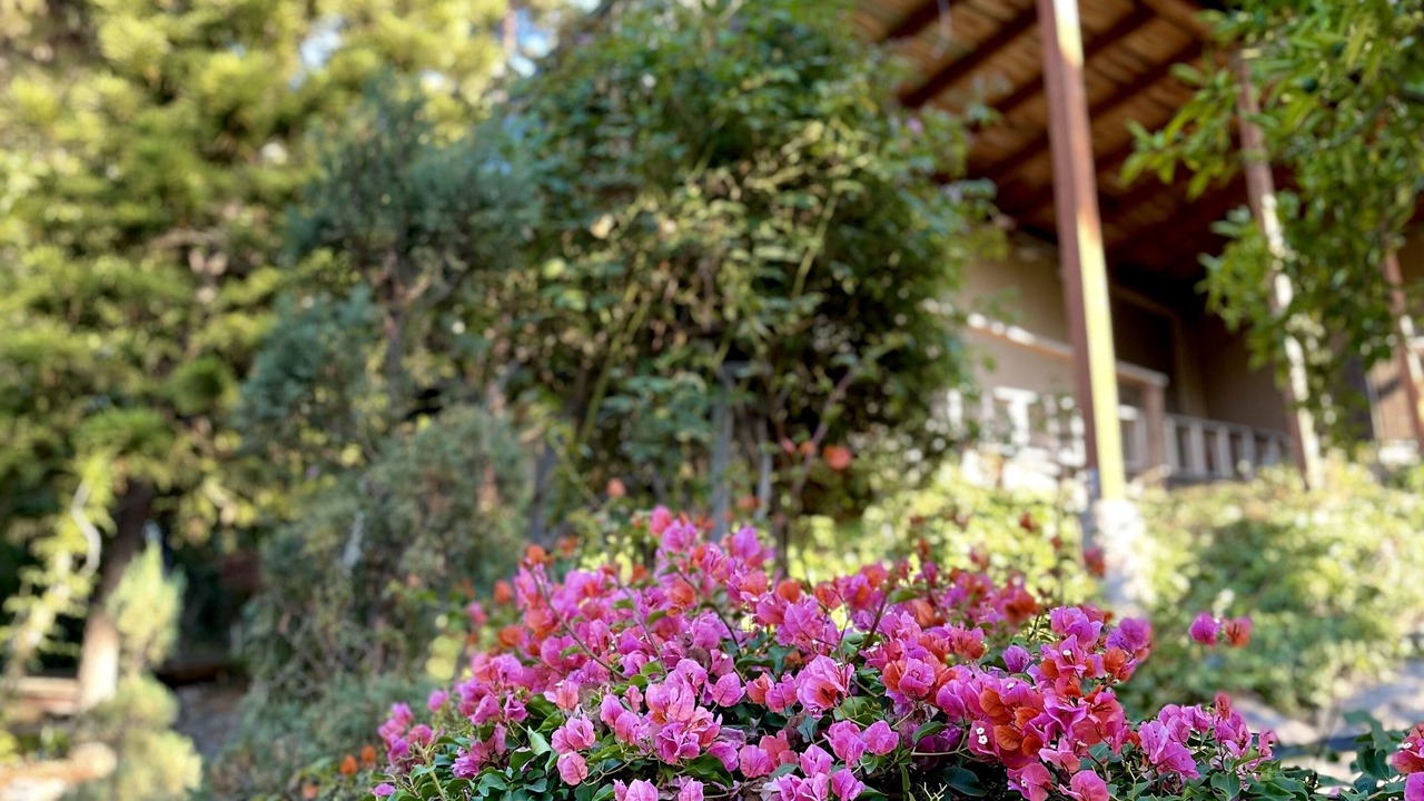 Photo of Outdoor in Mount Helix