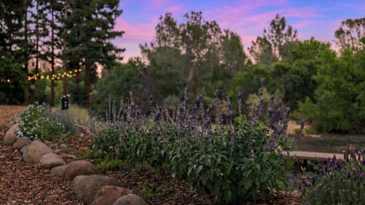 Photo of Outdoor in Chico