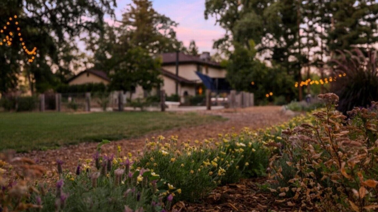 Photo of Outdoor in Chico
