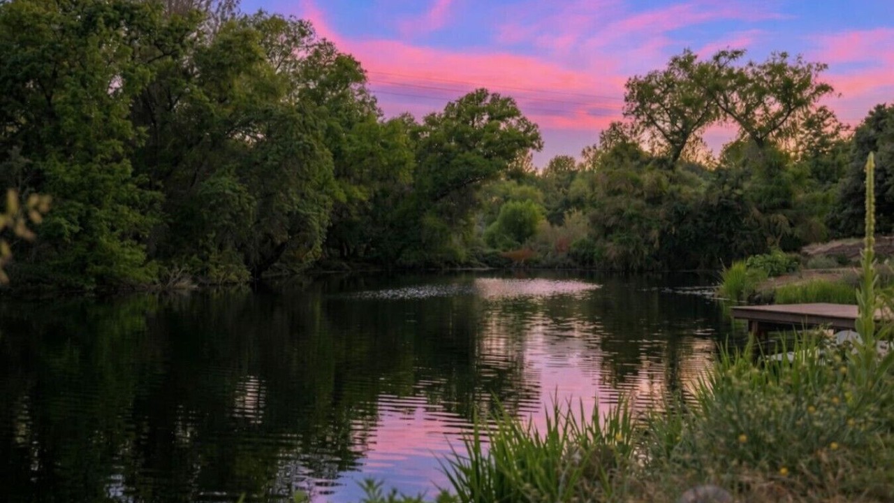 Photo of Others in Chico