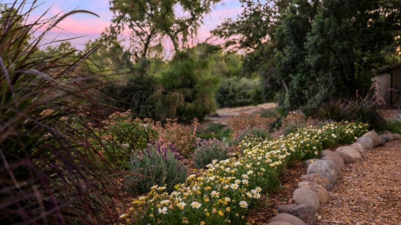Photo of Outdoor in Chico