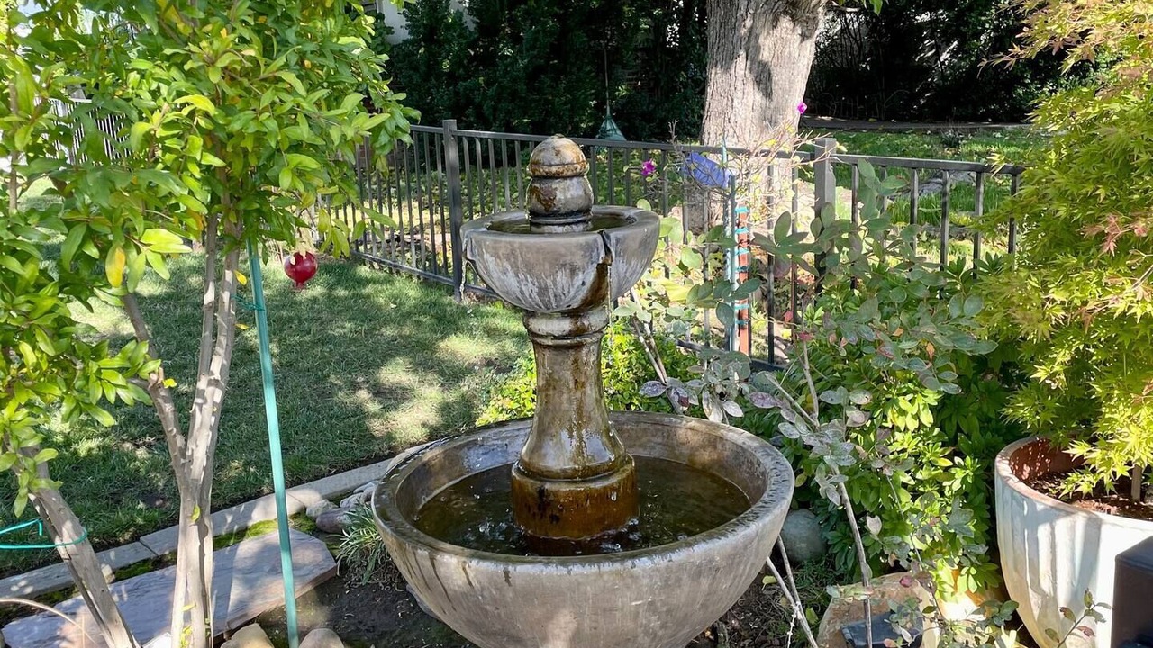 Photo of Outdoor in Roseville