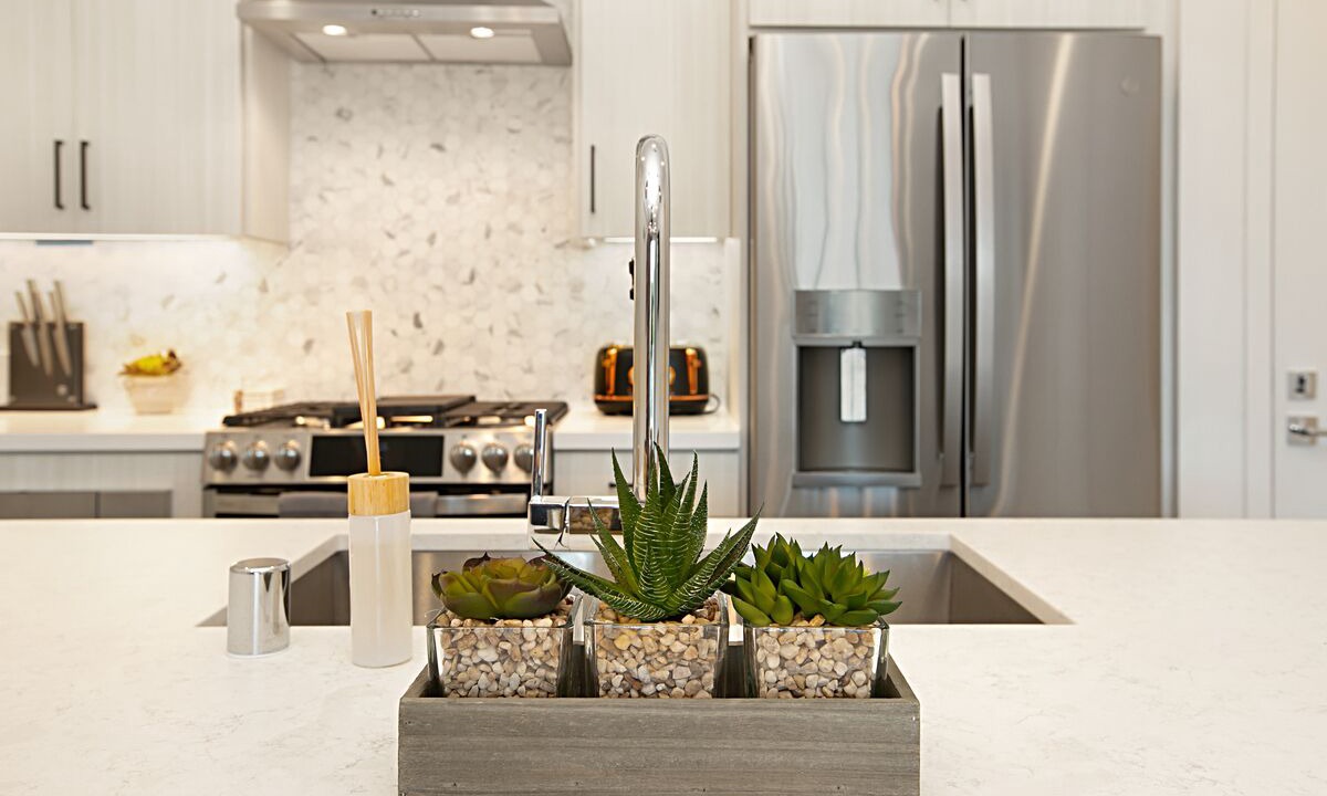 Photo of Kitchen in Golden Hill