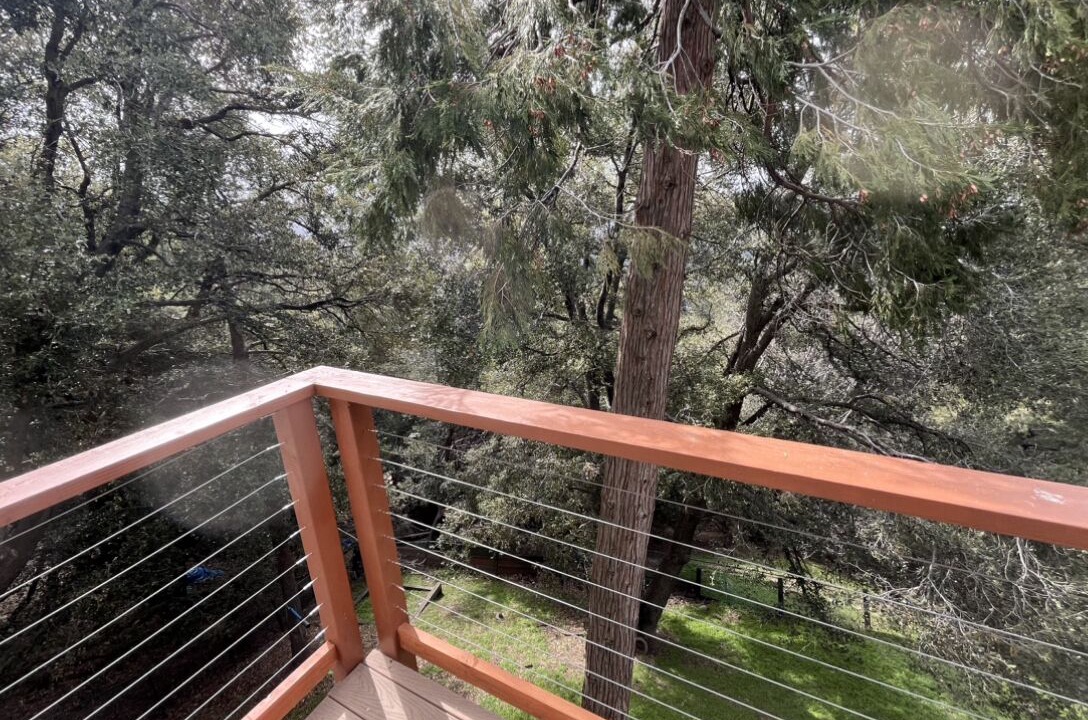 Photo of Outdoor in Crestline
