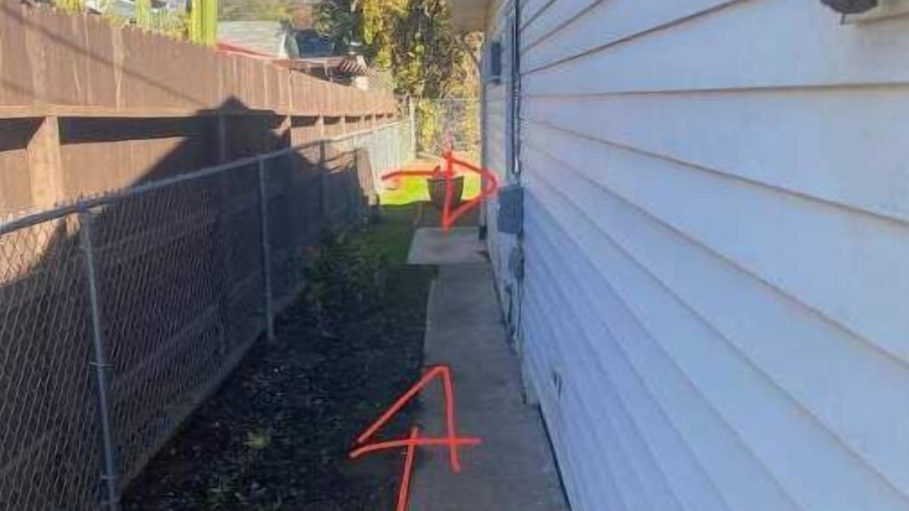 Photo of Outdoor in Clearlake