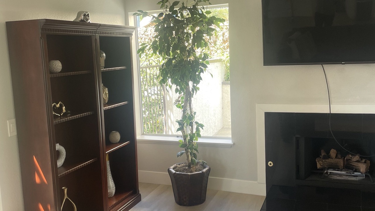Photo of Livingroom in Wildomar