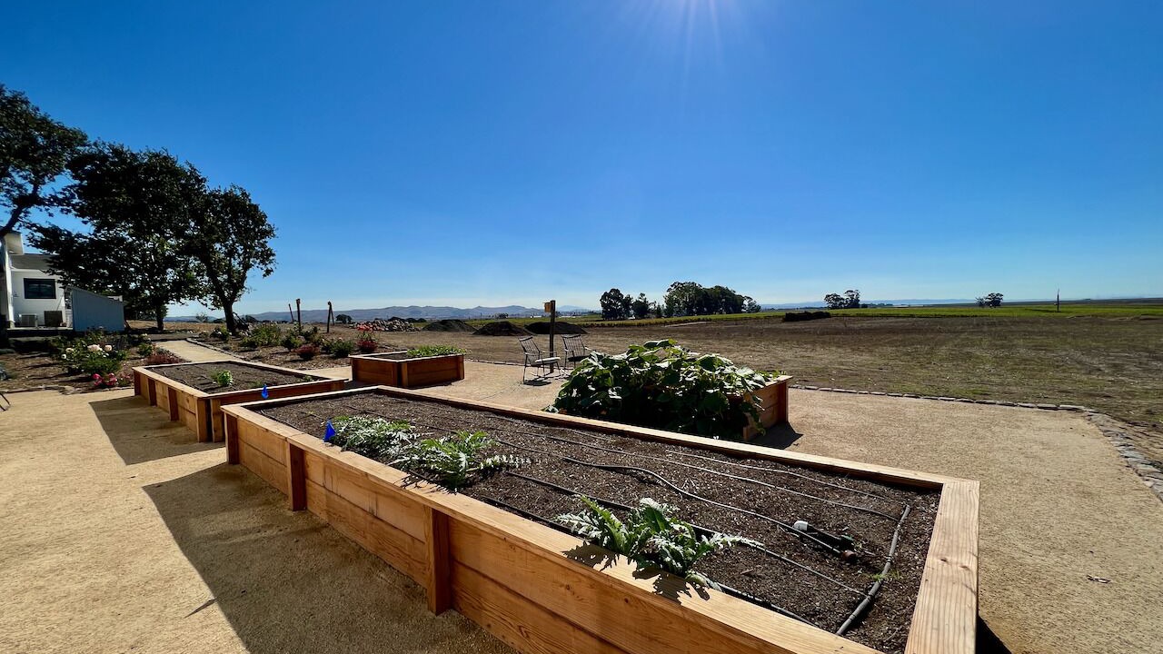 Photo of Outdoor in Napa