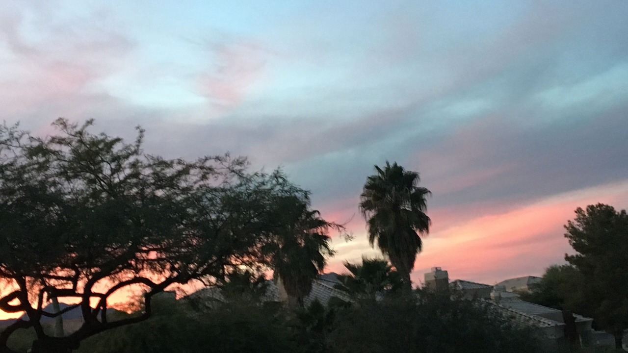 Photo of Others in Fountain Hills