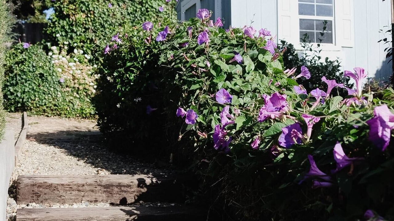 Photo of Outdoor in Vallejo