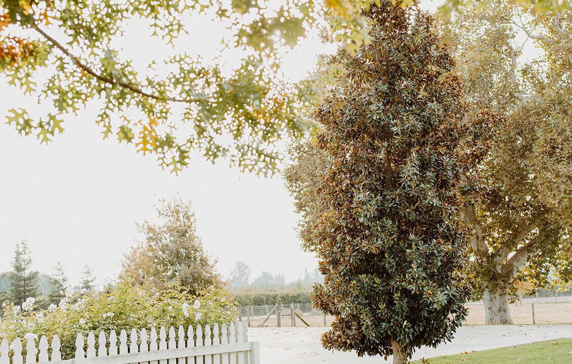 Photo of Outdoor in Kingsburg