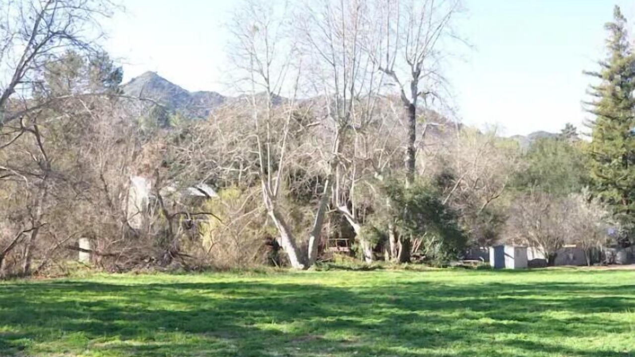 Photo of Others in Old Topanga