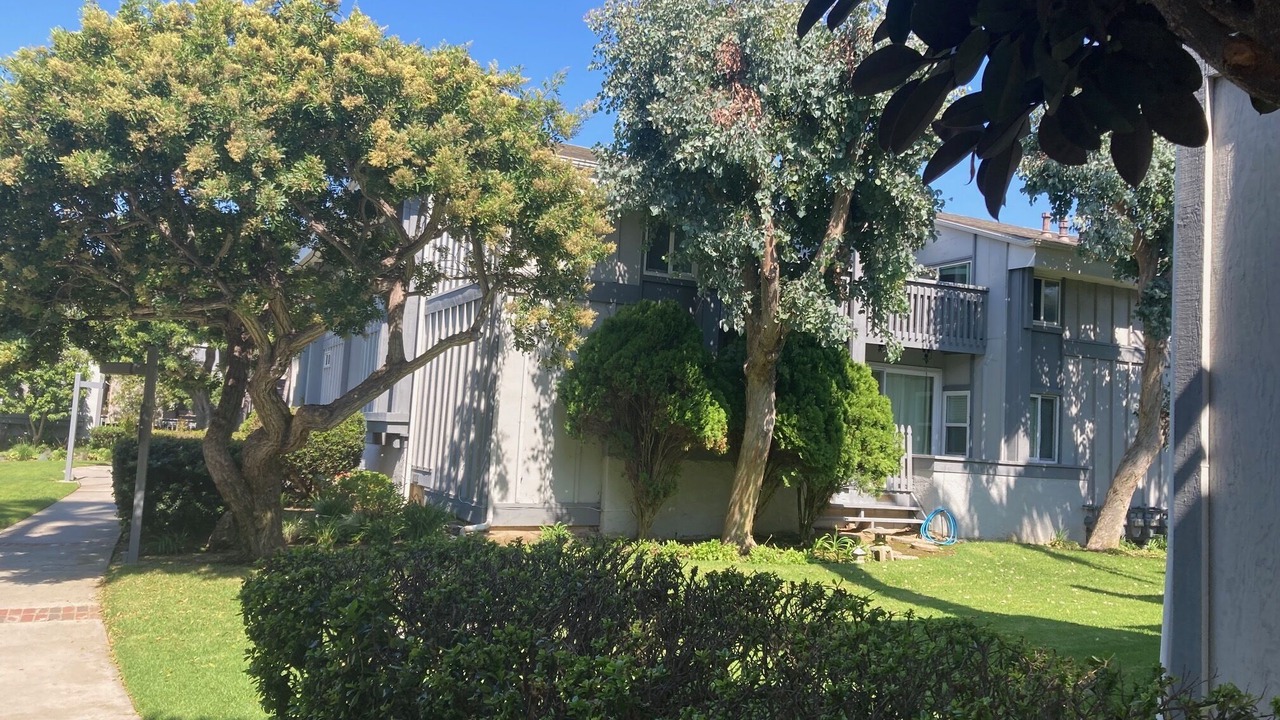 Photo of Outdoor in Sunset Beach