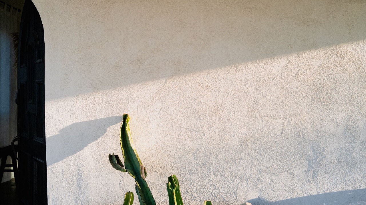 Photo of Others in Yucca Valley