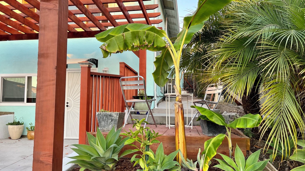 Photo of Patio Balcony in Albany