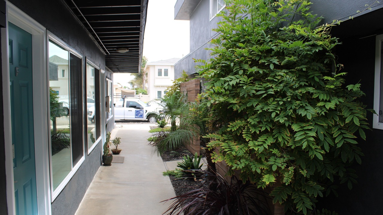 Photo of Outdoor in South Oceanside
