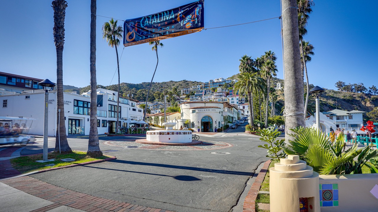 Photo of Others in Avalon