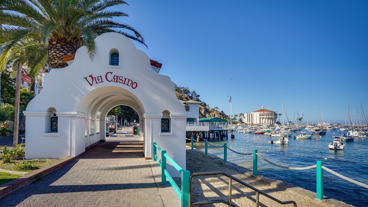 Photo of Outdoor in Avalon