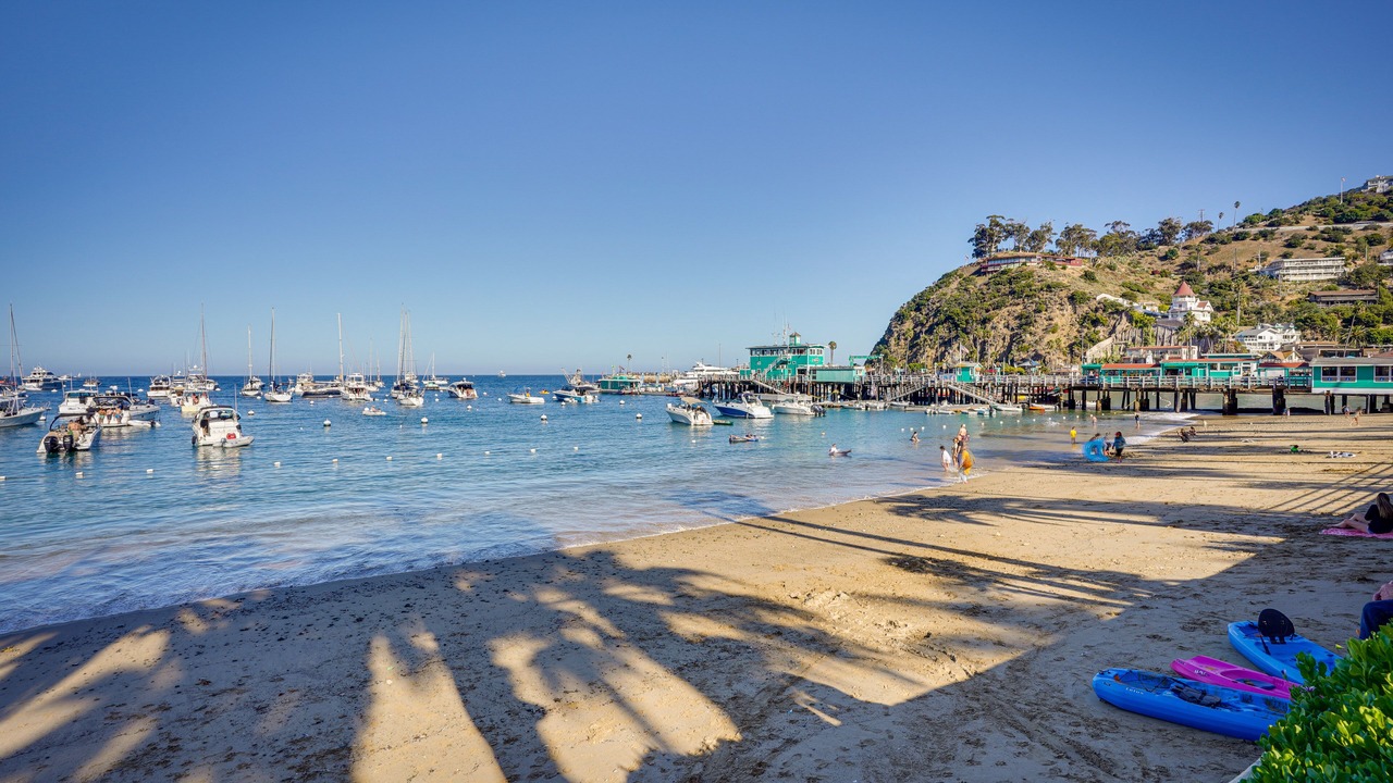 Photo of Others in Avalon