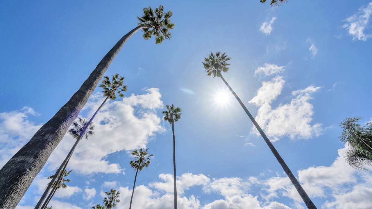Photo of Others in Los Angeles