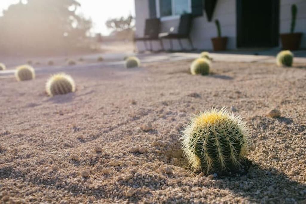 Photo of Others in Yucca Valley