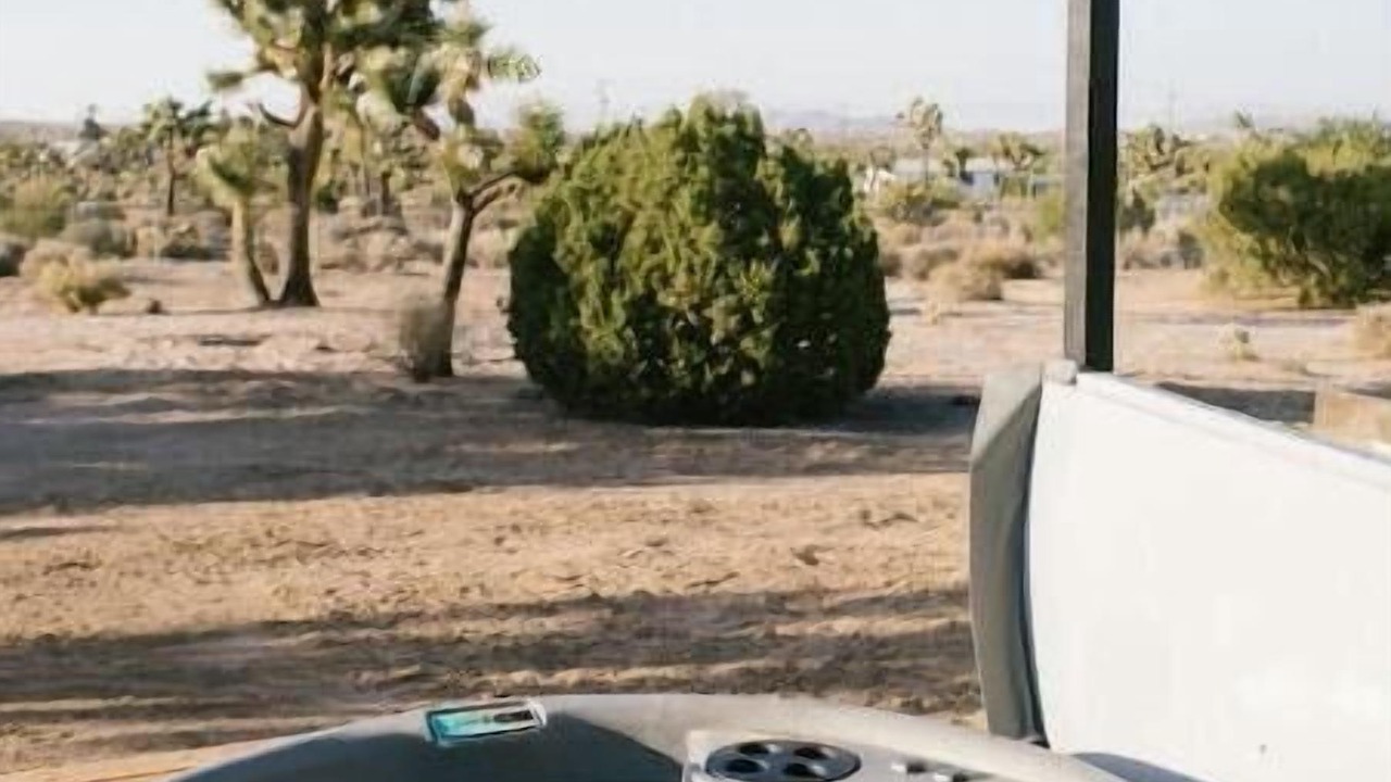 Photo of Others in Yucca Valley