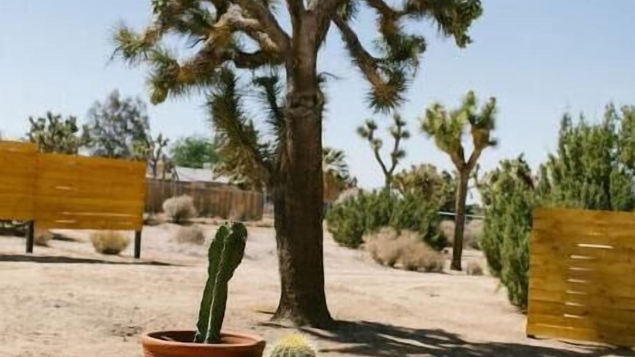 Photo of Outdoor in Yucca Valley