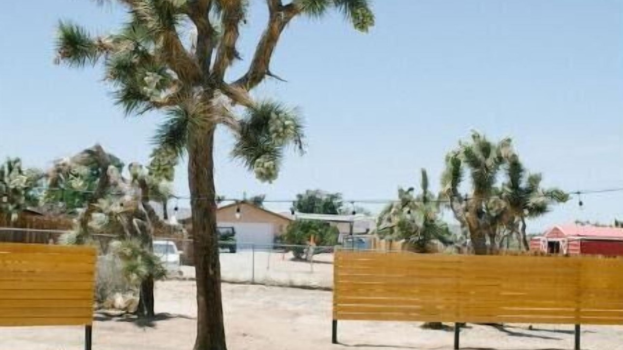Photo of Outdoor in Yucca Valley