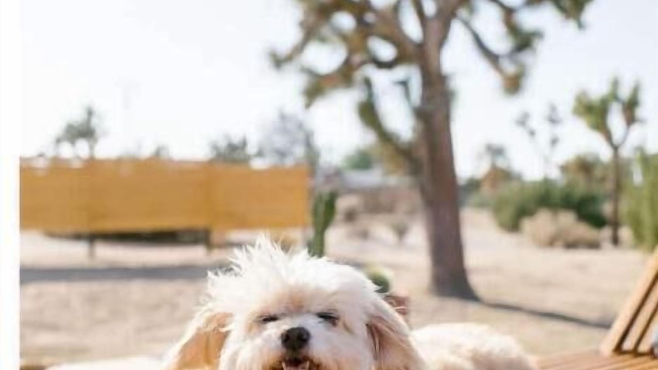 Photo of Outdoor in Yucca Valley