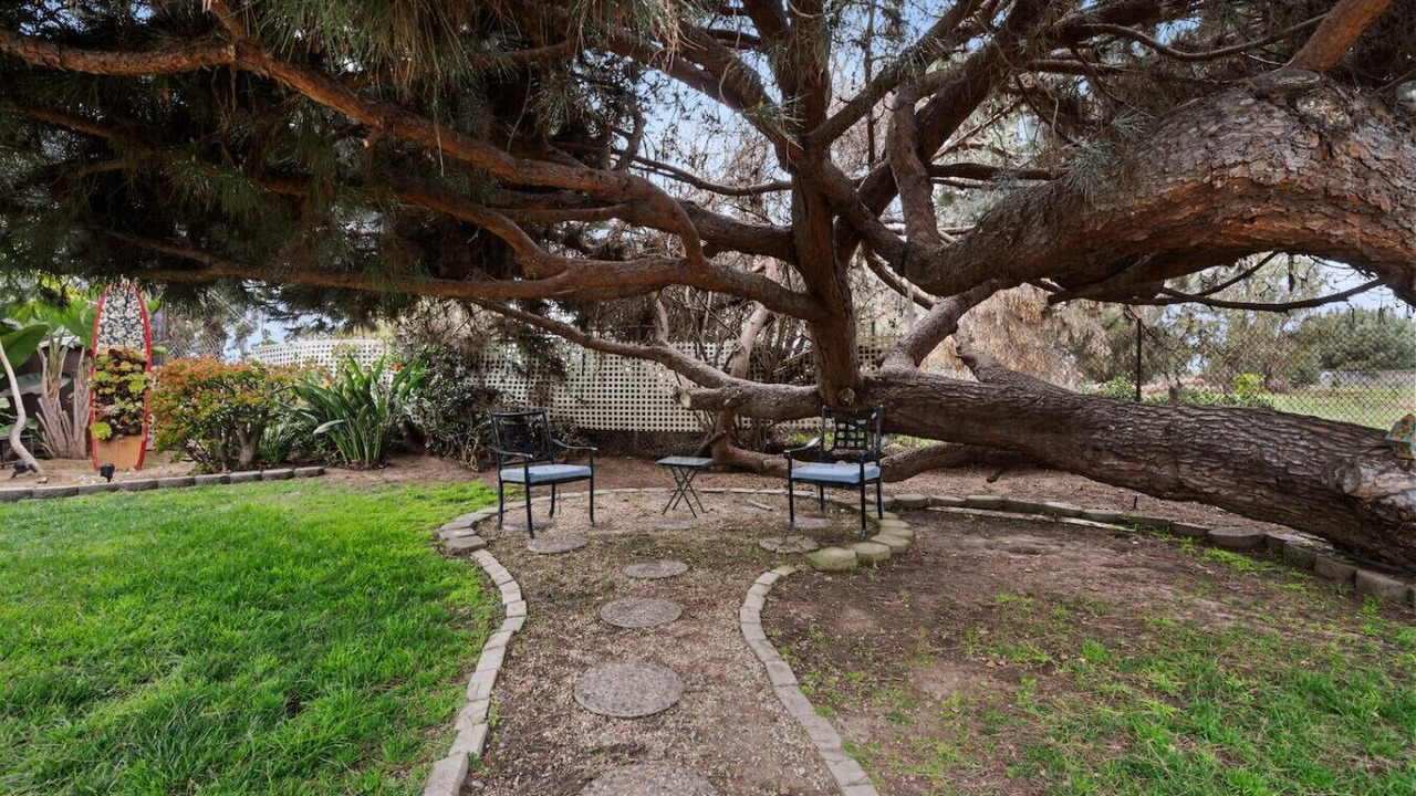 Photo of Outdoor in East Side Capistrano