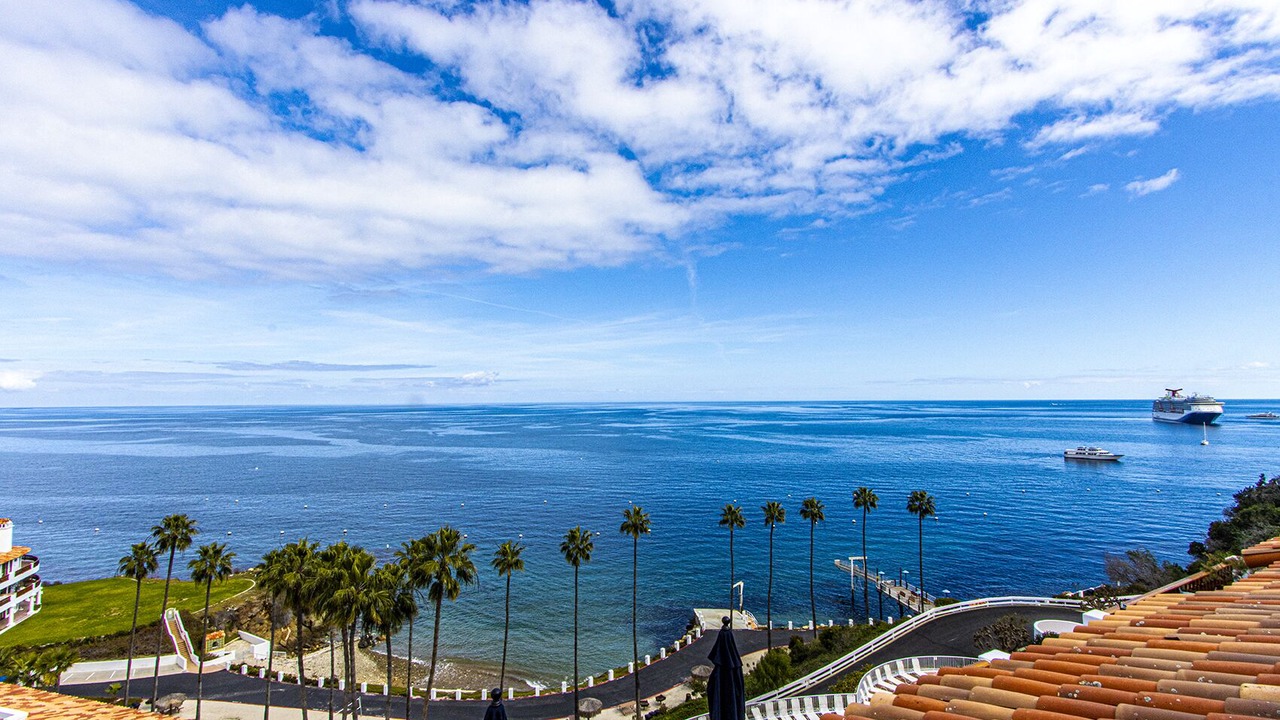 Photo of Outdoor in Avalon