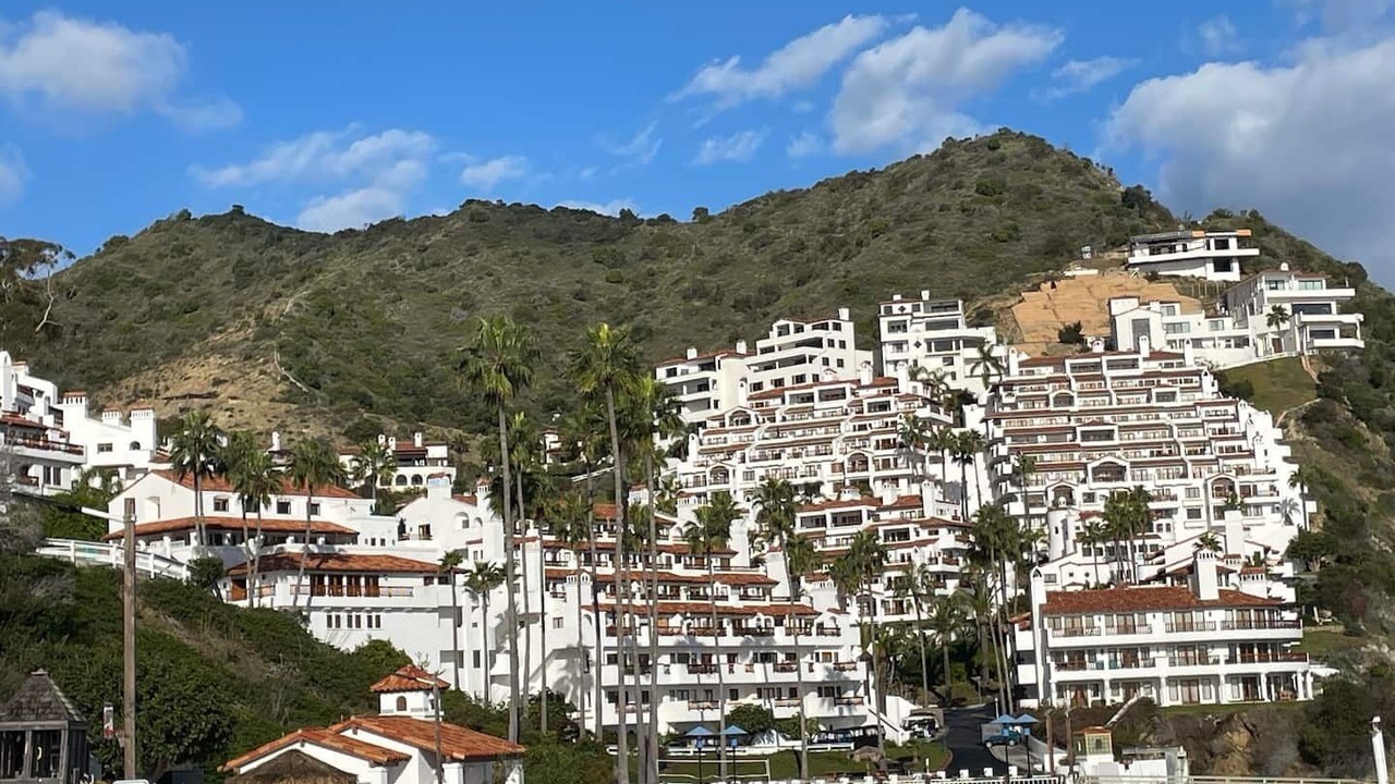 Photo of Others in Avalon
