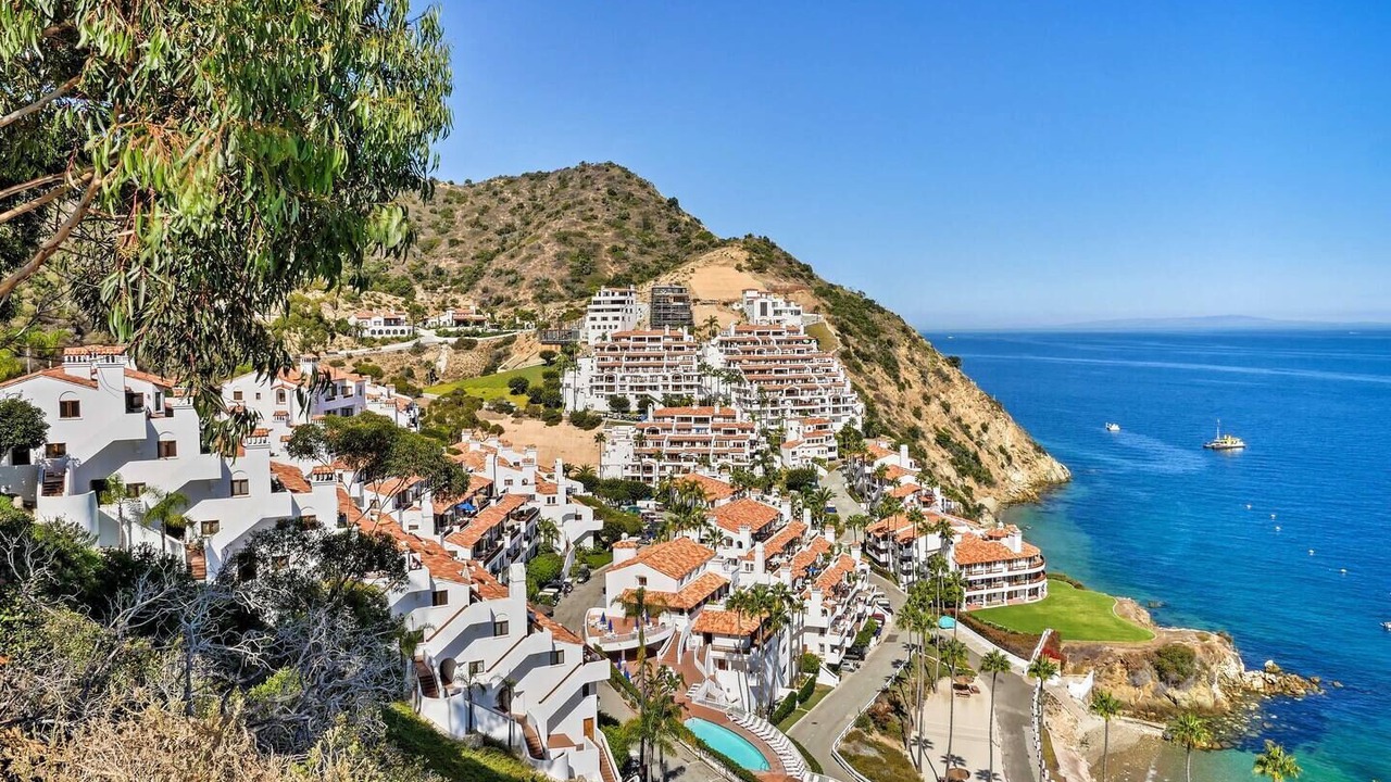 Photo of Others in Avalon