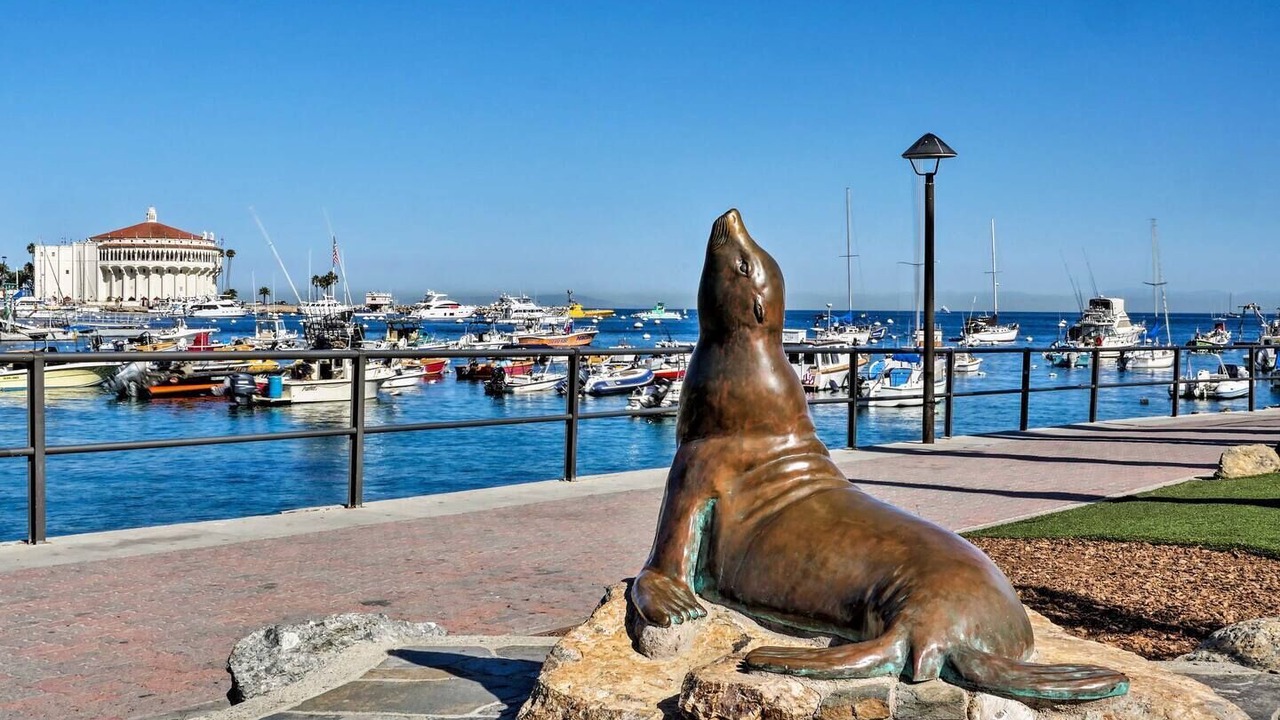 Photo of Others in Avalon